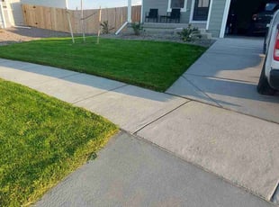 Shanea J.'s grass maintenance service result