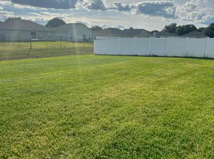 Richard T.'s turf care service result