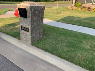 Toby B.'s lawn care service result