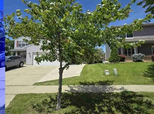 Charles R.'s grass cutting service result