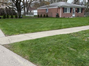 Thaddius H.'s turf care service result