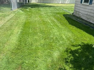 Juan Z.'s landscape maintenance service result