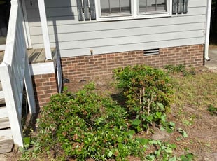 Rick C.'s Bush Trimming service result