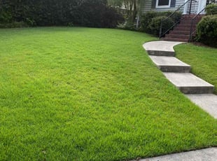 Stephanie B.'s grass cutting service result