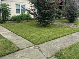 Nick R.'s lawn care services service result