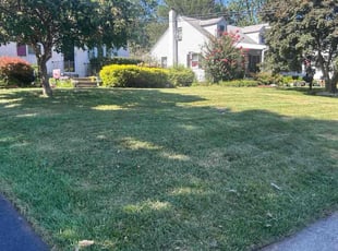 Edna G.'s lawn care service result