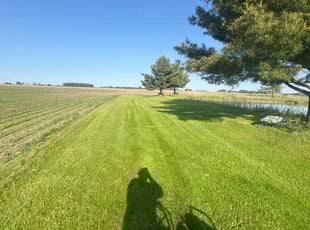Marlene W.'s lawn maintenance service result