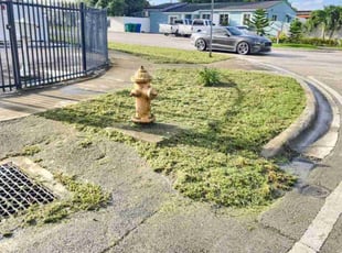 Kate L.'s turf maintenance service result
