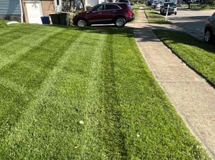 Marcus H.'s lawn care services service result