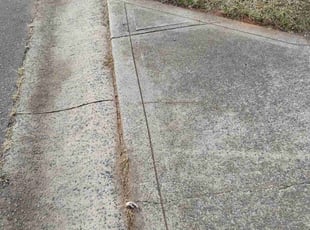 Sean M.'s turf maintenance service result