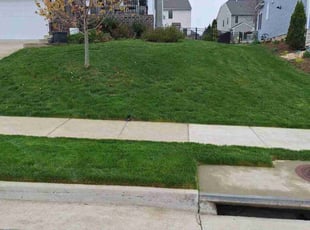 William I.'s lawn care services service result