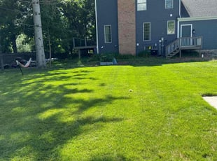 Sang B.'s grass maintenance service result