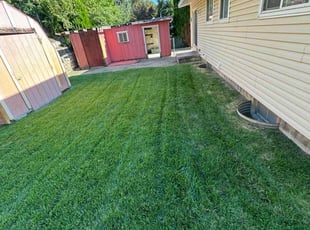 Gary P.'s turf maintenance service result
