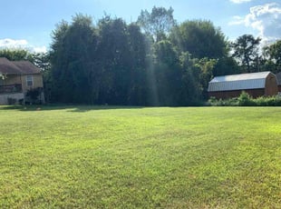 Tyler T.'s turf care service result
