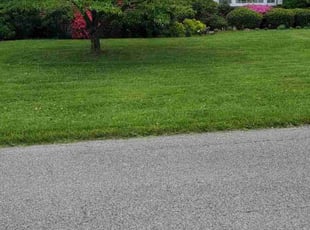 Jonathan S.'s grass maintenance service result