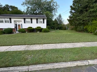 Richard W.'s grass cutting service result
