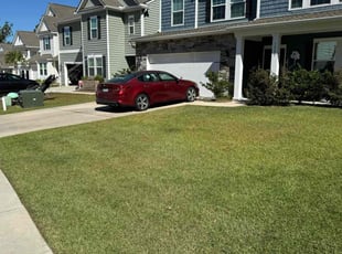 Zakira B.'s lawn care service result