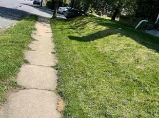 Ian C.'s turf care service result