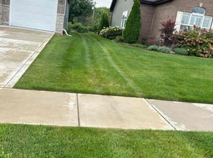 Marty K.'s lawn service service result