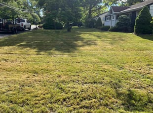 Kadejah L.'s grass cutting service result