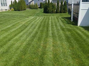 Gwen R.'s lawn care service result