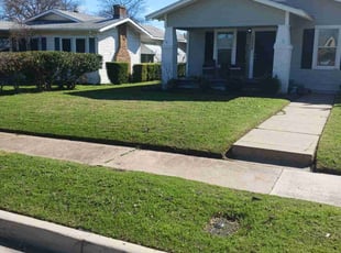 D F.'s lawn maintenance service result