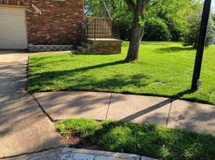Denise M.'s turf care service result