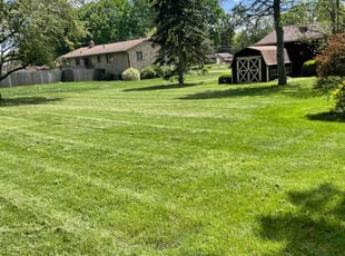 Dakota P.'s lawn care services service result