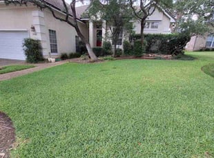 Shannon P.'s grass maintenance service result