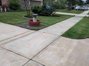 Lee M.'s turf maintenance service result