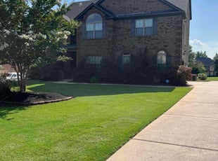 Martha C.'s turf care service result