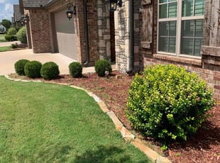 Sheila K.'s Bush Trimming service result