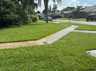 Verlaine C.'s turf maintenance service result