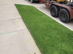 Jane H.'s lawn care service result