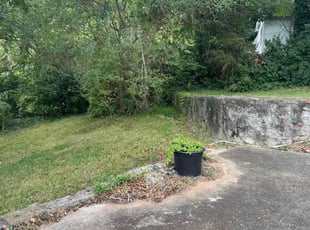 Heidi R.'s grass cutting service result