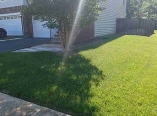 Joy S.'s lawn care service result