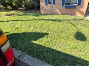 Jonathan H.'s turf care service result