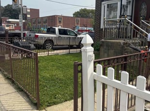 Dennis M.'s turf care service result