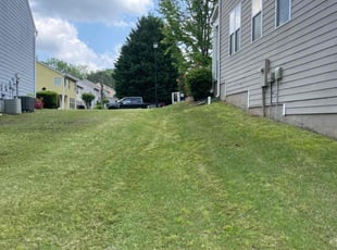 Anthony F.'s lawn care services service result