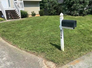 Jeff C.'s lawn service service result