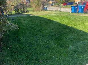 Jan M.'s lawn care service result