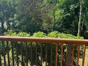 Makalah P.'s Bush Trimming service result