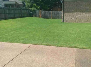 Linda B.'s lawn maintenance service result