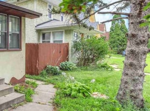 Patricia S.'s Leaf Removal service result