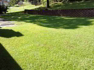 Linda C.'s lawn care service result