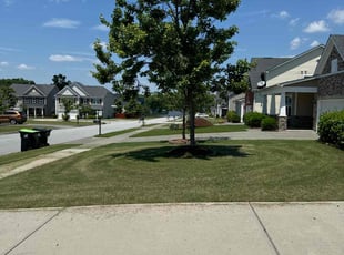 Irving H.'s lawn maintenance service result