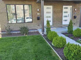 Sean B.'s grass maintenance service result