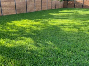 Amanda J.'s grass maintenance service result