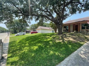 Victor T.'s lawn maintenance service result