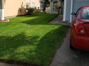 Kevin F.'s lawn service service result